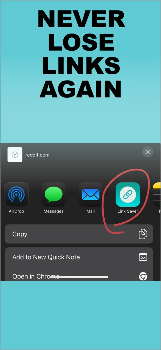 Link Saver - fast and easy screenshot 3 of 5